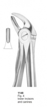  Fig. 4 lower incisors and canines 